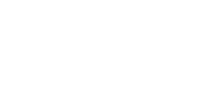 Visioneers